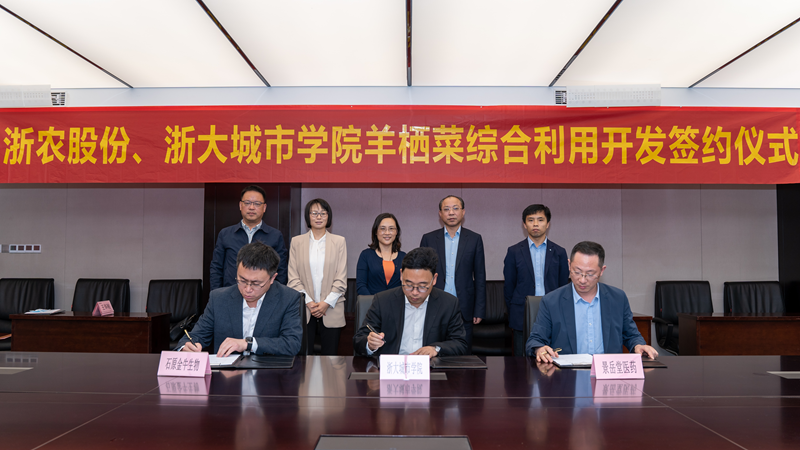 浙農(nóng)股份、浙大城市學院羊棲菜綜合利用開發(fā)項目成功簽約