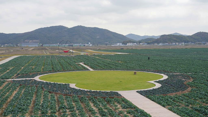浙農(nóng)科技岱山運(yùn)營項目獲人民日報、新華社、央視等主流媒體關(guān)注